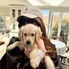 andreagreene835